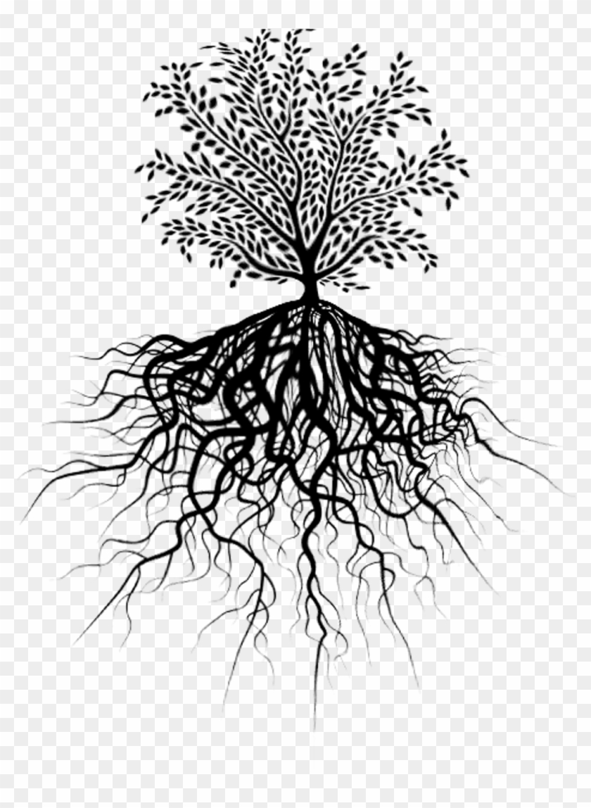 Transparent Tree Of Life With Roots - Tree Of Life Picsart Clipart #3377751