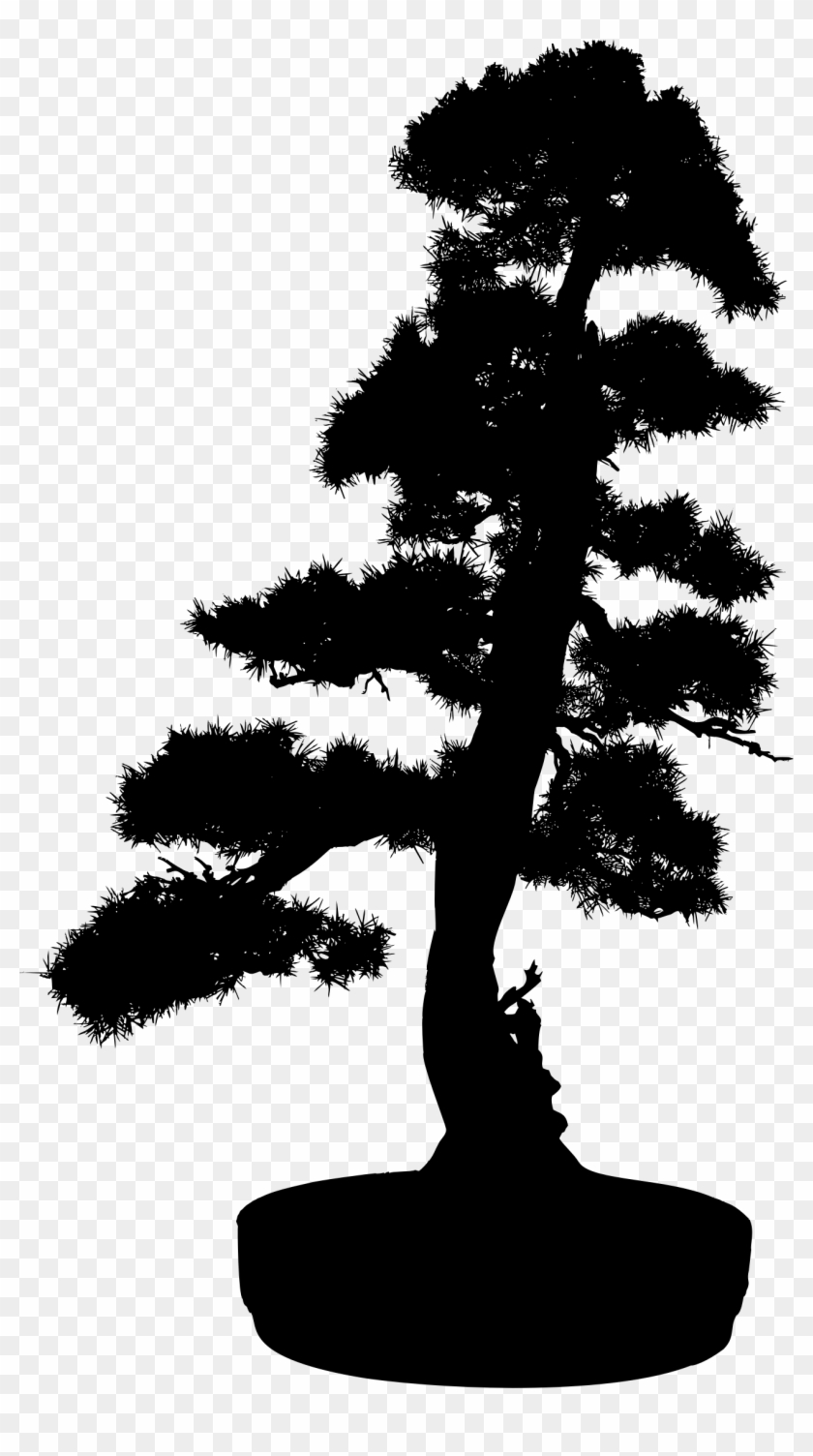 This Free Icons Png Design Of Bonsai Silhouette 2 - Bonsai Tree Silhouette Png Clipart #3377796