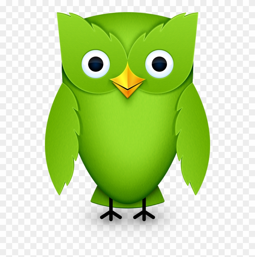 Free App That You Can Use To Learn Languages - Duolingo Owl Clipart