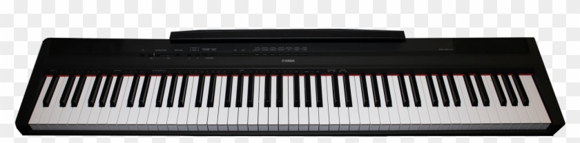 Yamaha P 115 88 Key Digital Piano Series Electronic - One Smart Keyboard Clipart