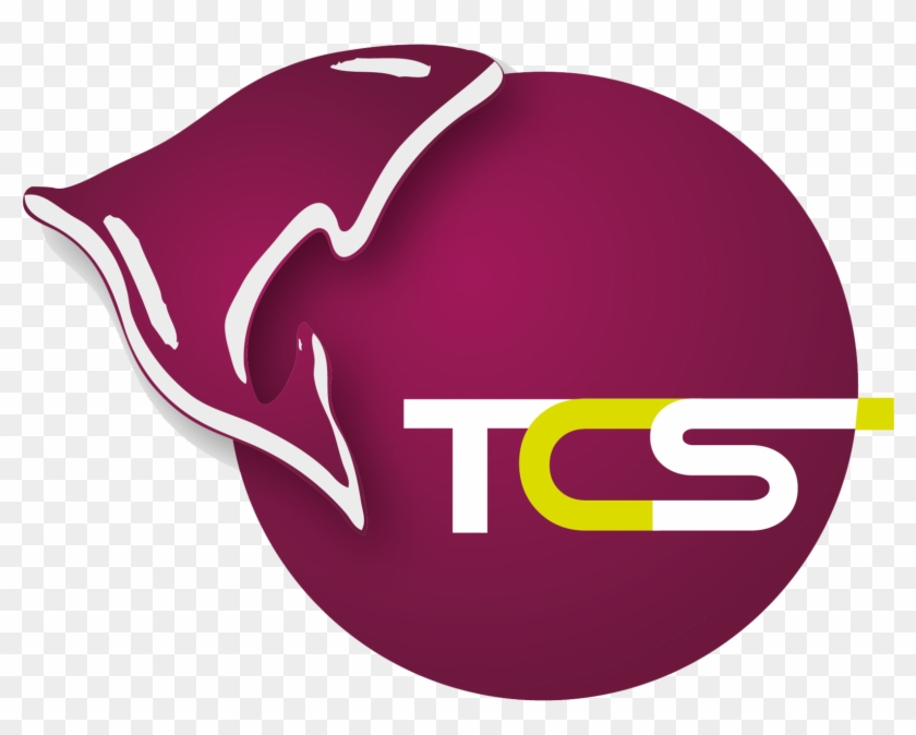 Логотип - Vinyl Record Clipart