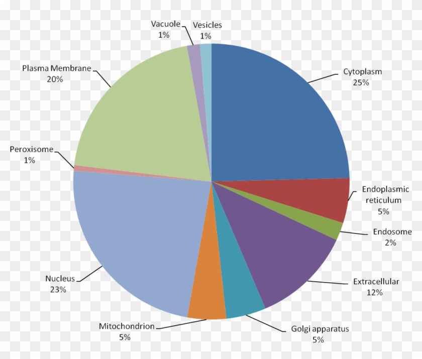 Statistics - - Overbooking Flights Statistics Clipart