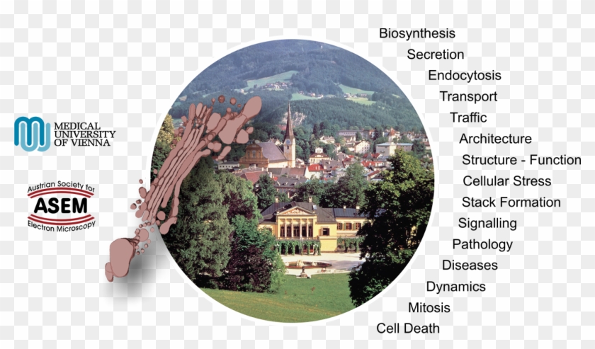 I Cordially Invite You To Take Part In The Golgi Apparatus - Bad Ischl Austria Clipart #3382560