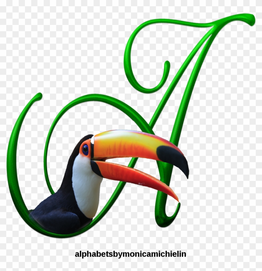 Alfabeto Tucano , Toucan Alphabet - Toucan Clipart