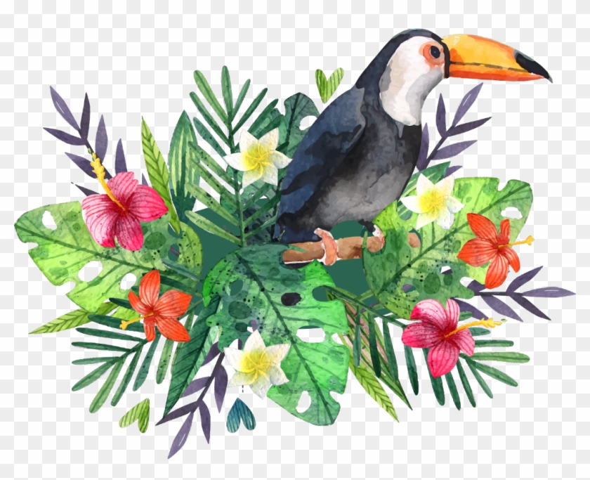 #tucano #tropical #freetoedit Clipart #3385014