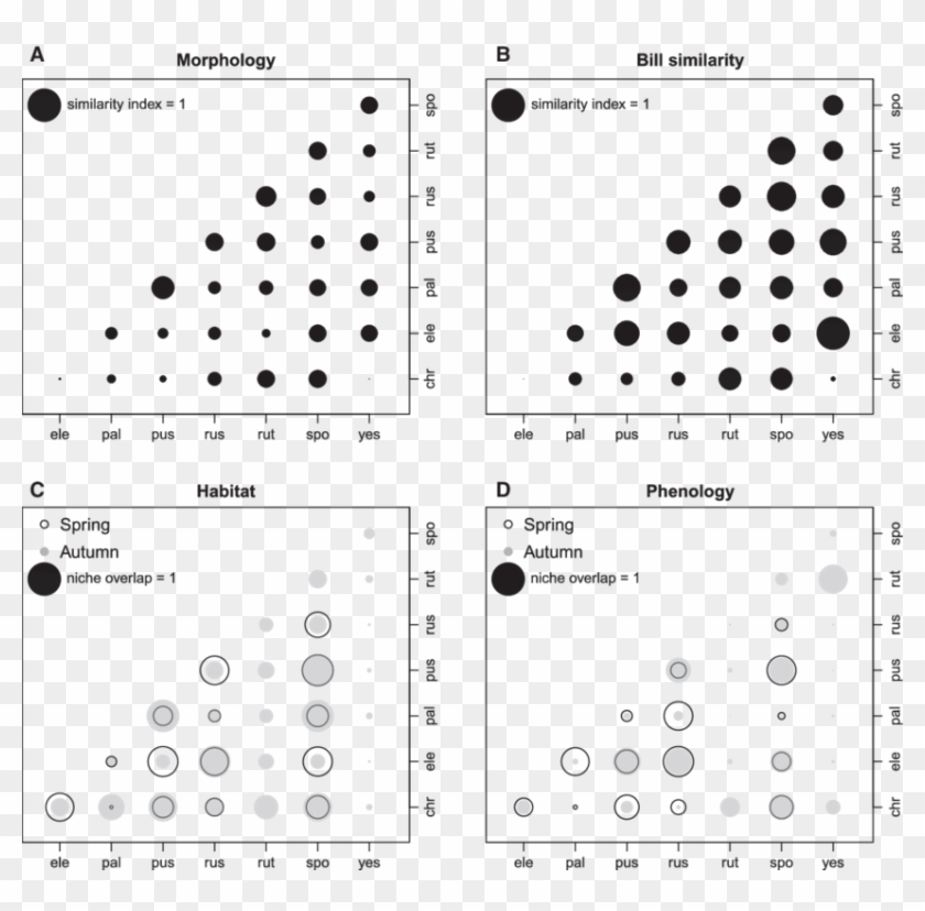 Similarity Of 8 Bunting Species Regarding Morphology - Word Search Rhyming Words Clipart #3385277
