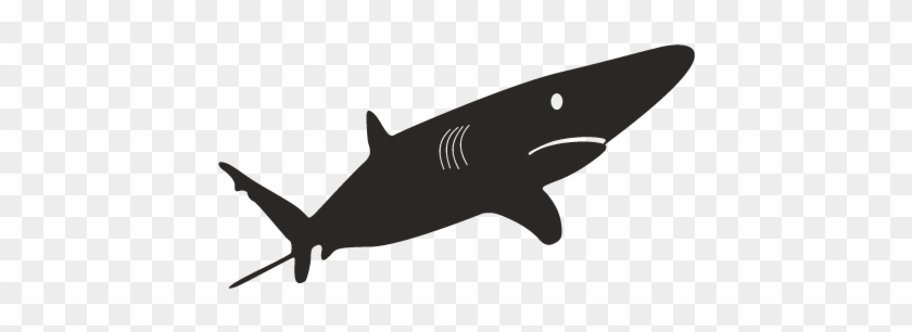 14733186421 Sea Animals 01 - Requiem Shark Clipart