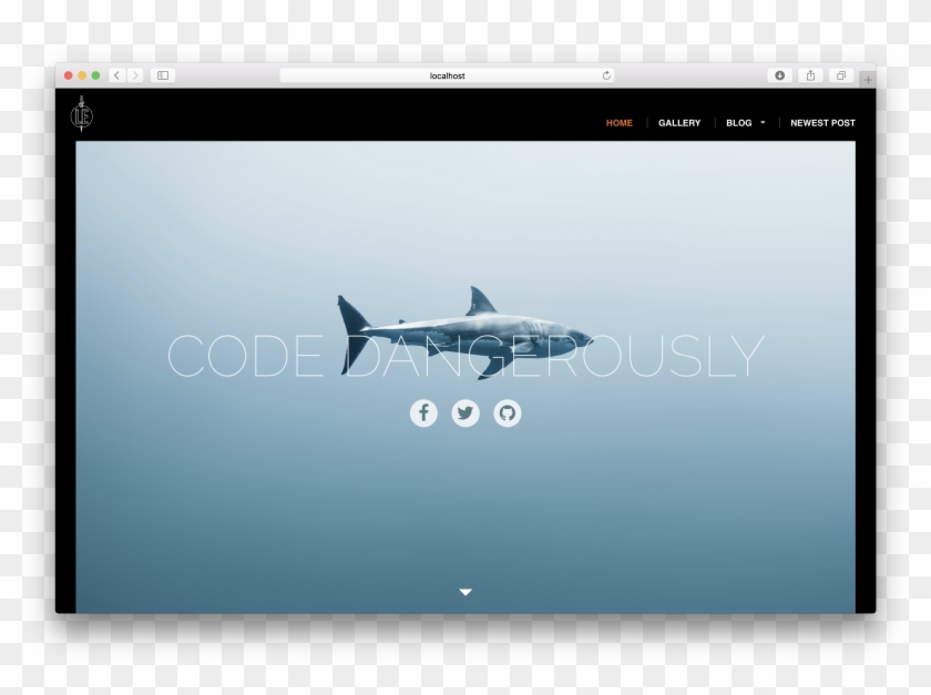 Images/figures/gf-hero - Great White Shark Clipart