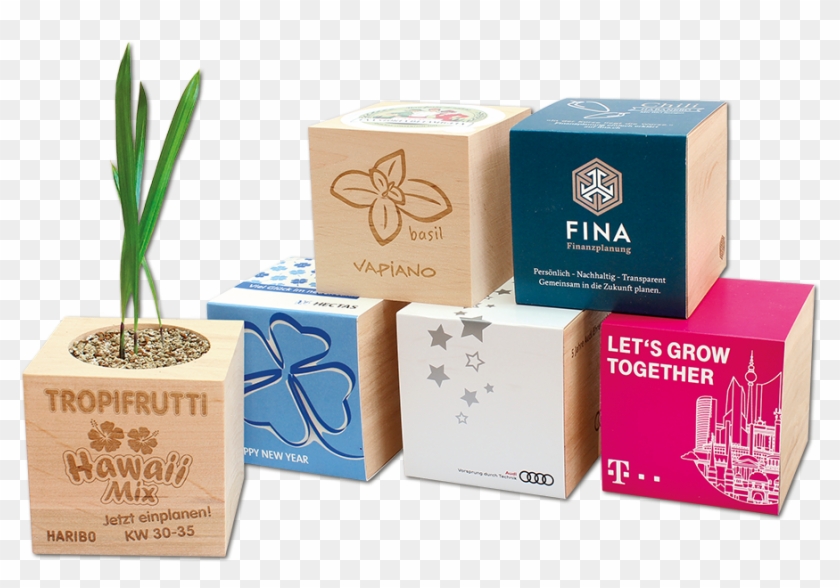 Plants In A Wooden Cube - Box Clipart #3386271