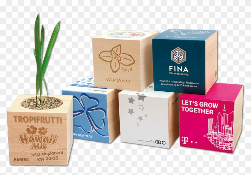 Plants In A Wooden Cube - Box Clipart