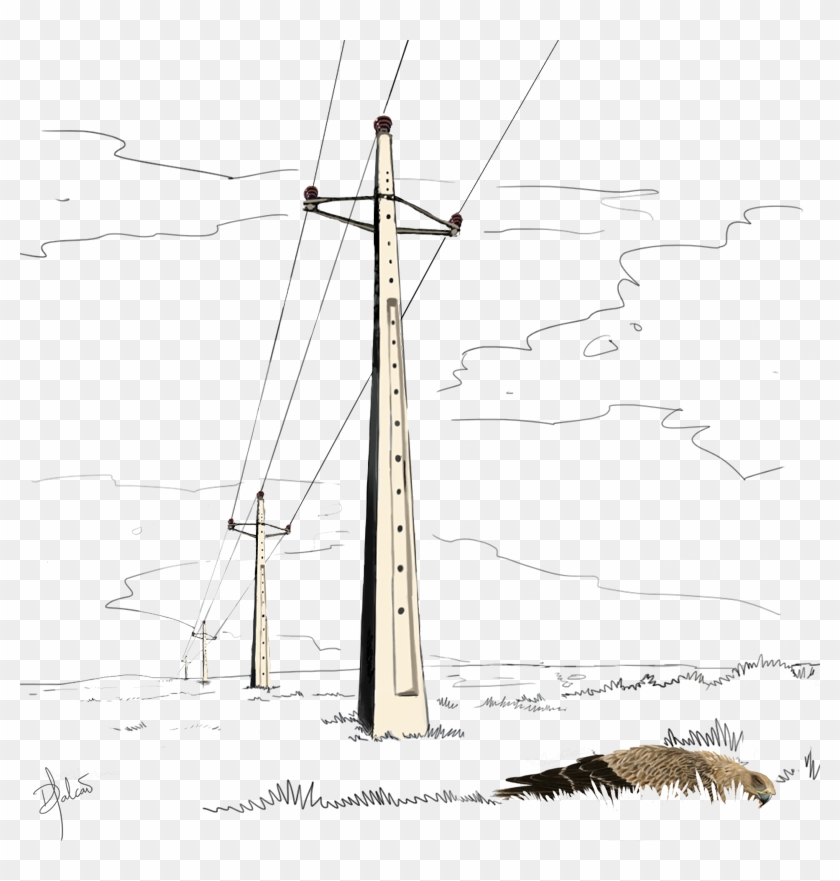 This Is One Of The Main Causes Of Unnatural Mortality - Sketch Clipart