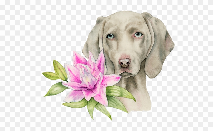 Bleed Area May Not Be Visible - Weimaraner Painting Clipart