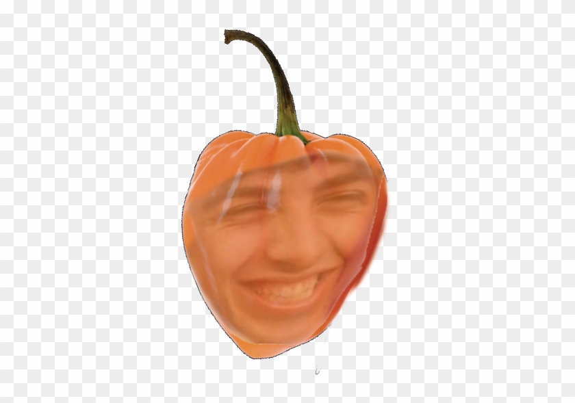 Sam Habanaro - Habanero Chili Clipart #3391679