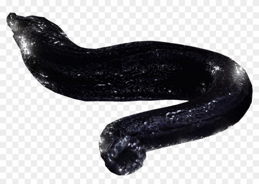 Leeches Little Nightmares Wiki - Little Nightmares Shoe Monster Clipart