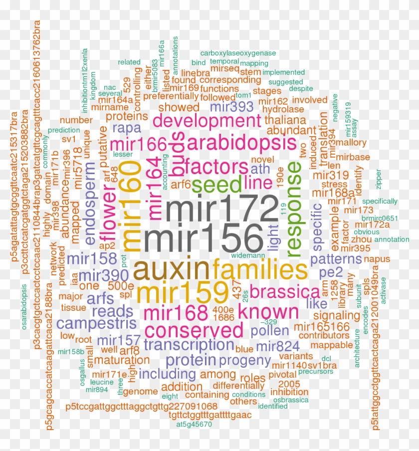 Stem Loop Sequence Bra Mir167b - Friend Word Collage Clipart