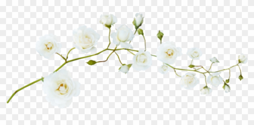 #flores #floresedit #floreskpop #recursos #overlays - Jasmine Clipart