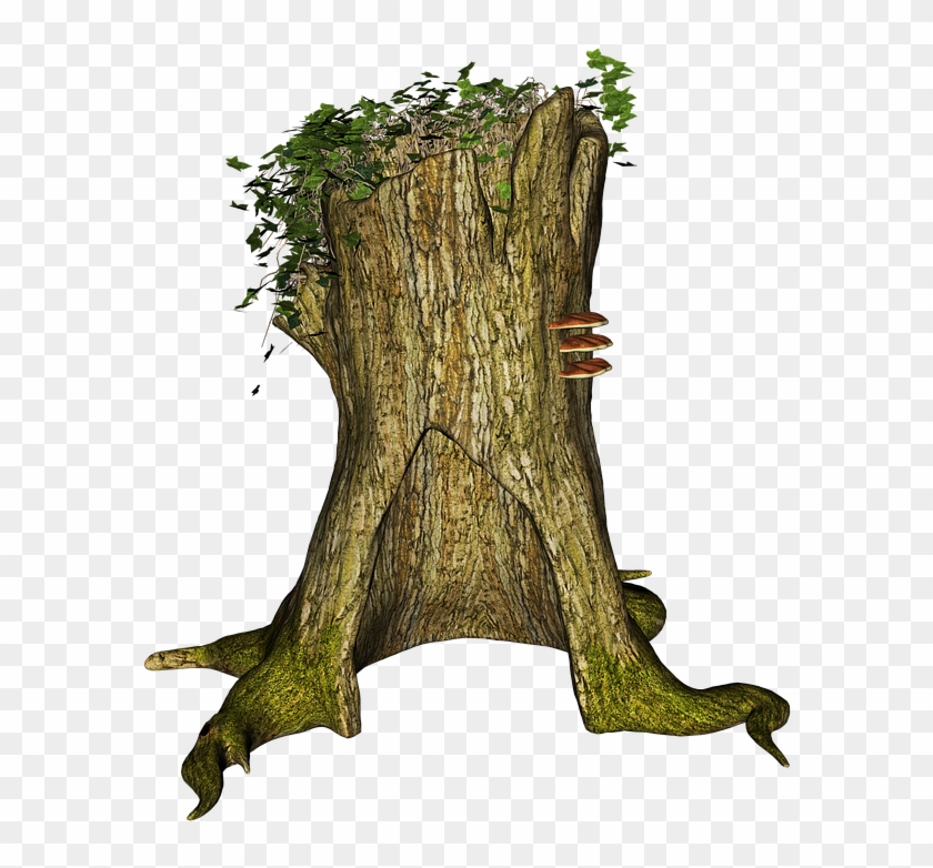 Árbol De Tronco, Rizoma, Stubben, Ivy, Ensuciamiento - Wood Clipart