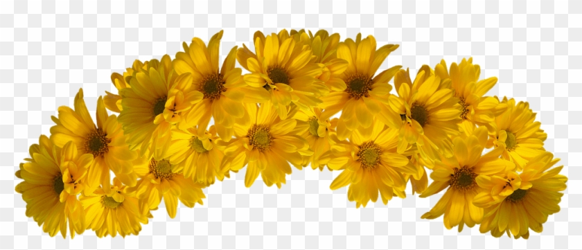 Transparent Flower Crown Png - Yellow Flower Crown Png Clipart #340036
