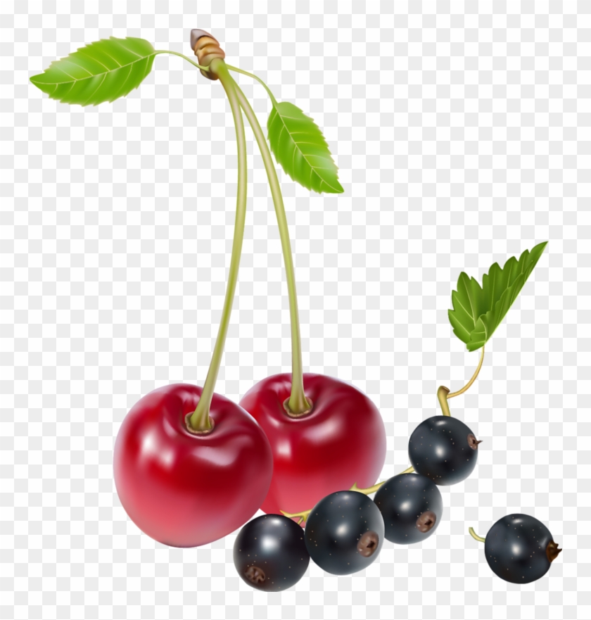 Svg Transparent Library And Blueberries Png Best Web - Cherry Vector Clipart