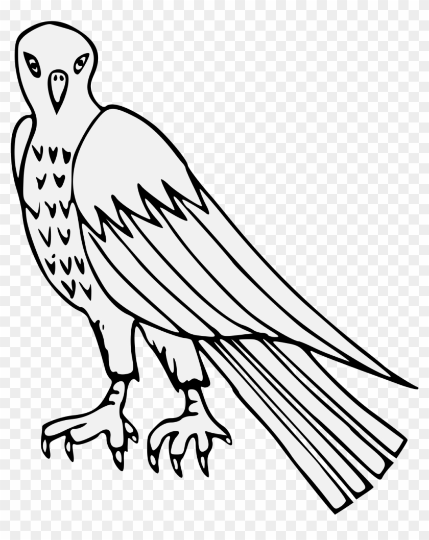Details, Png - Osprey Clipart