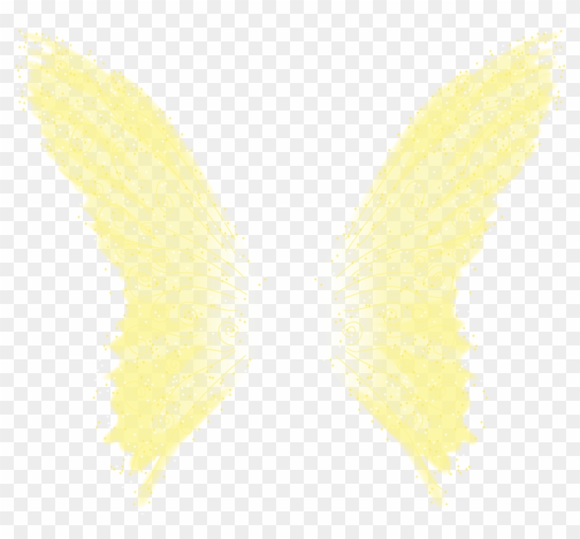 A Fairy Crazy Headcanon - Riodinidae Clipart