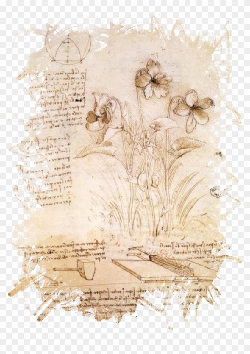 Leonardo Da Vinci,da Clipart #340727