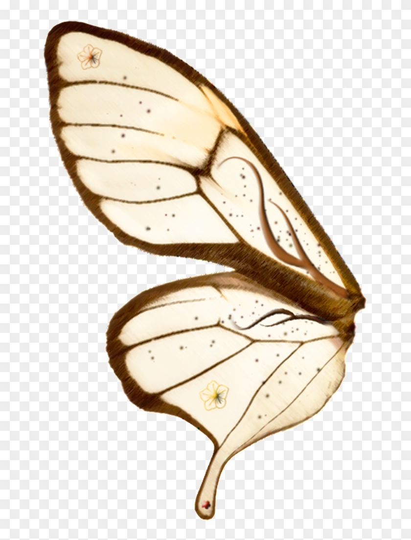 Photoshop Fairy Wings Clipart