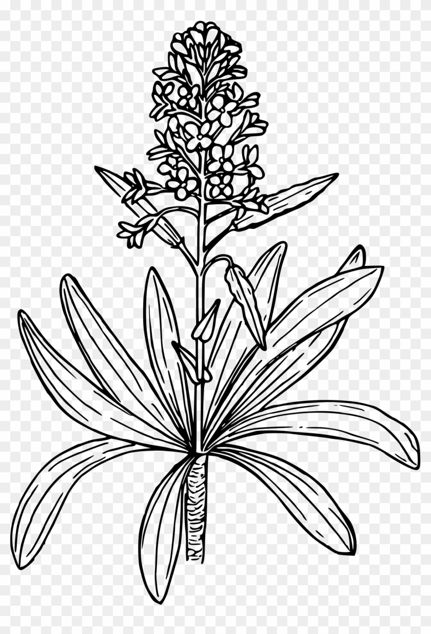 This Free Icons Png Design Of Dagger Pod Mustard Clipart