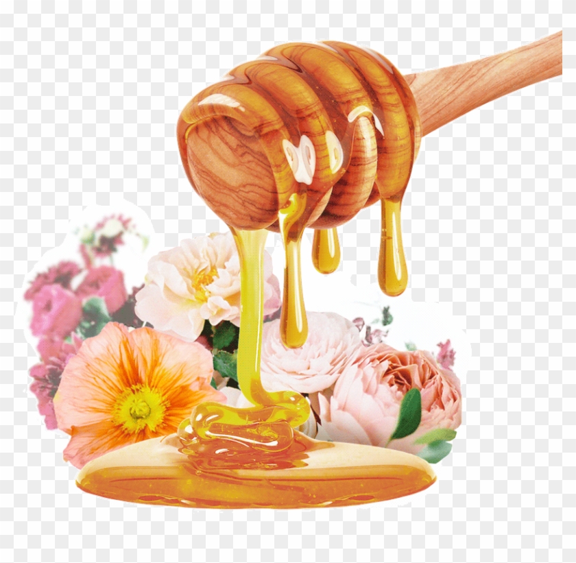 Honey Type Thousand Flowers - Honey Dripping Down Clipart #342968