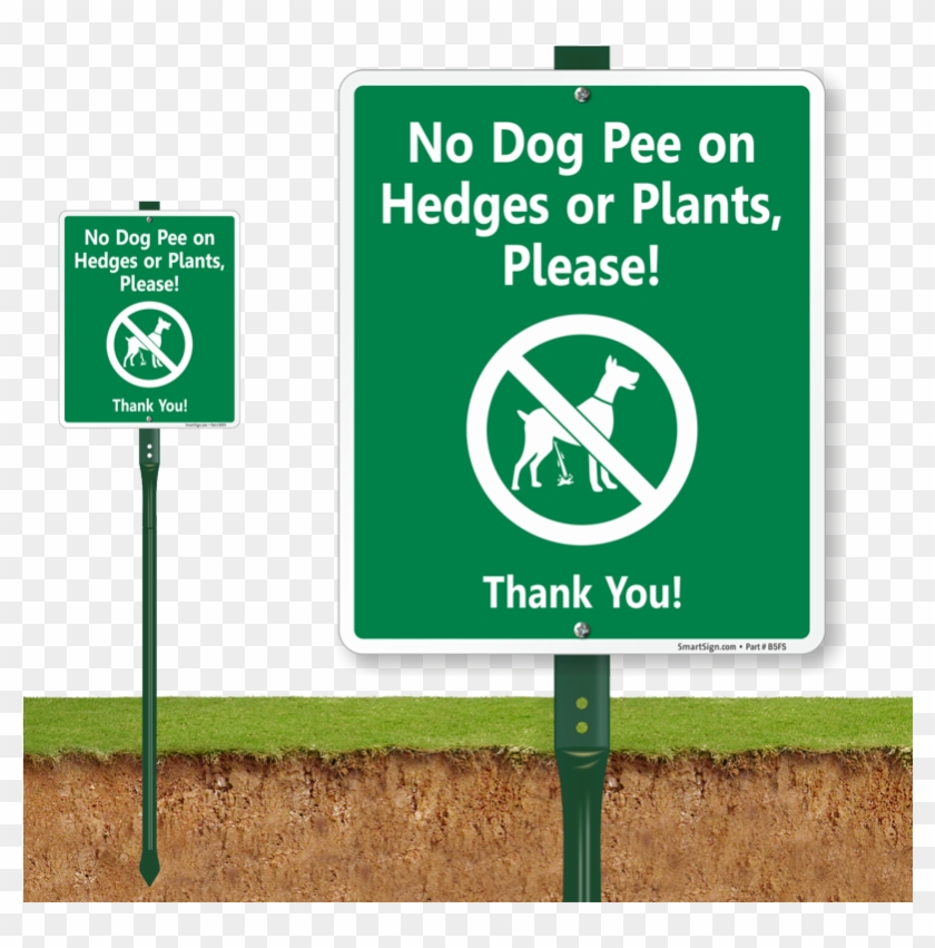 Zoom, Price, Buy - Sign Clipart