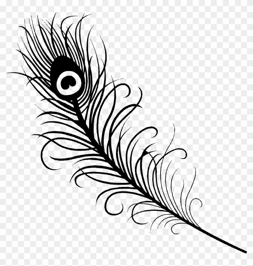 Drawn Flute Peacock Feather - Peacock Feather Vector Black And White Clipart #345968