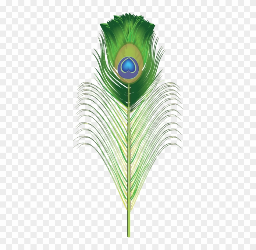 Peacock Brush For Adobe Illustrator Green Png Png Images - Feather Png For Photoshop Clipart #346101