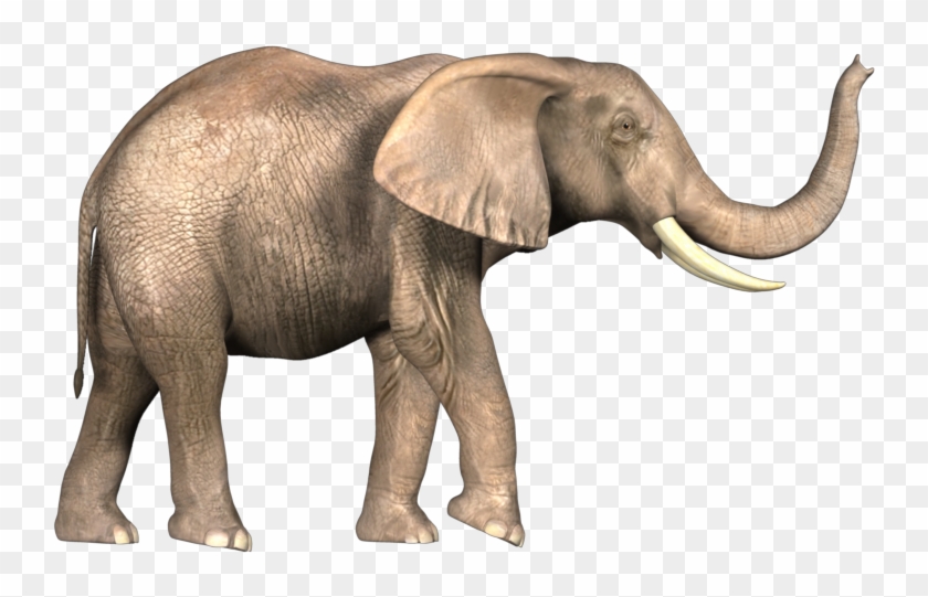Background Elephant In Bahubali Clipart #346382