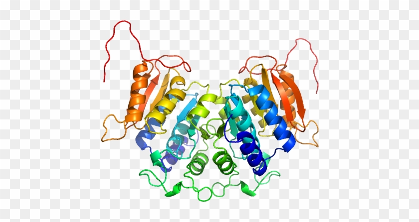 Methyltransferase Domain Protein Modeller Model Clipart
