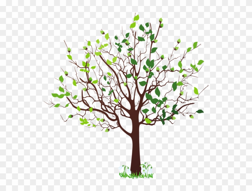 Spring Tree With Snowdrops Png - Spring Tree Clipart Png Transparent Png