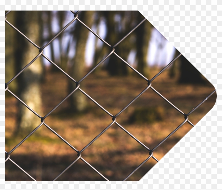 Kelowna Chainlink Fences & Gates About Quality Chain - Chain Link Fences Forest Clipart