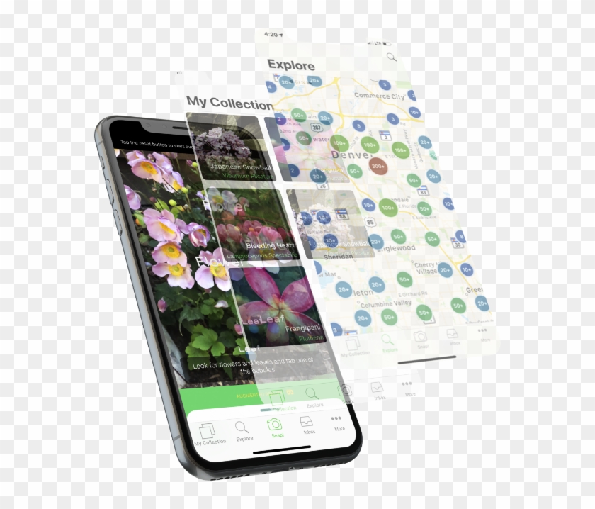 We Are Continuously Working To Improve Plantsnap And - Iphone Clipart #348391