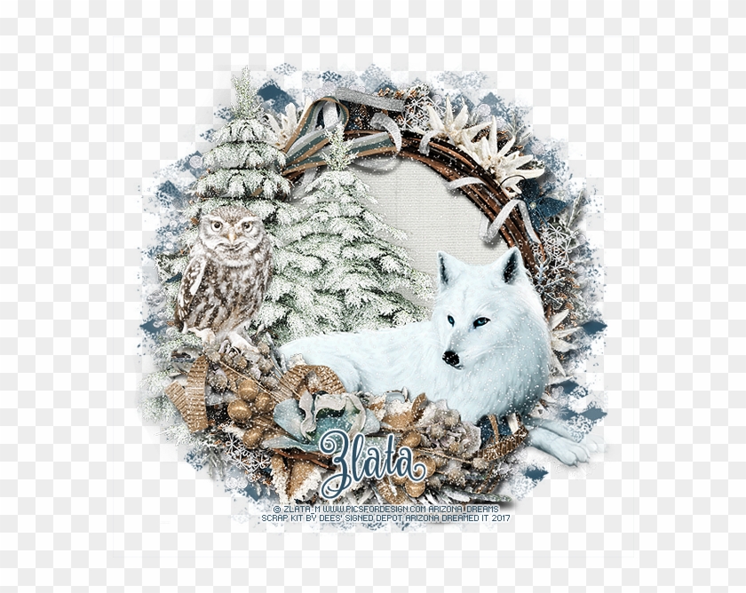 White Wolf - Arctic Fox Clipart #349791