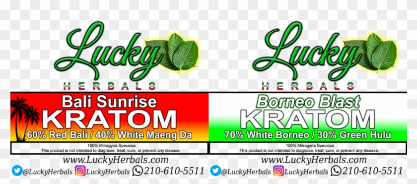 Flyer Clipart #3400151