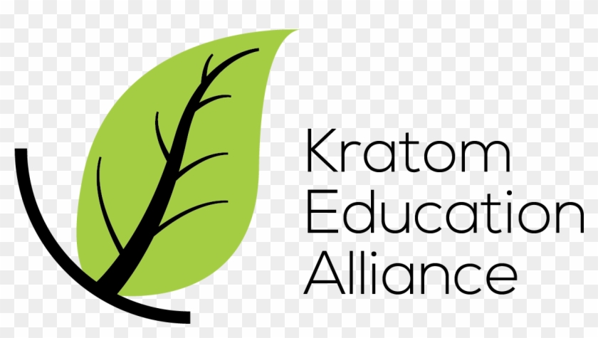 Clip Art - Png Download #3400324