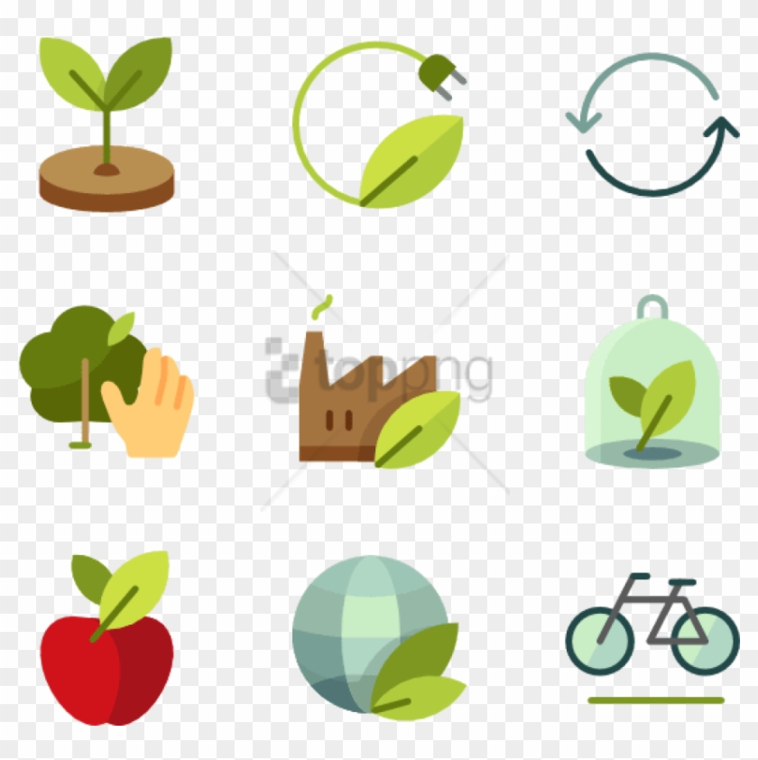 Free Png Ecopack 50 Icons - Plants Icon Clipart #3401226
