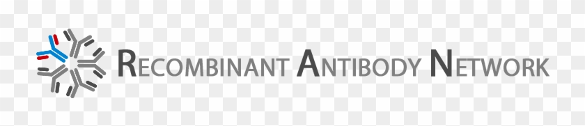 Antibody-network - Antibody Clipart #3402229