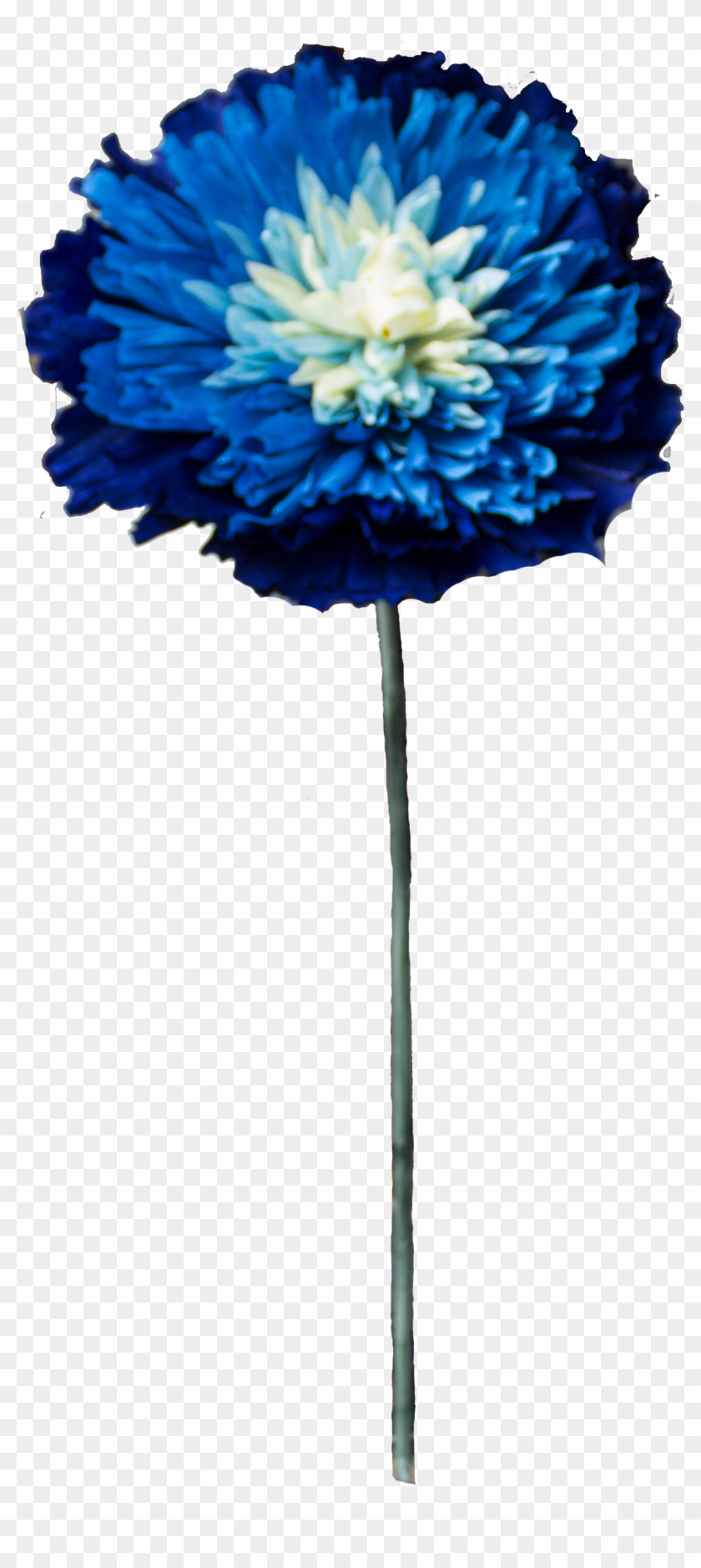 Astra Png - Artificial Flower Clipart #3405358