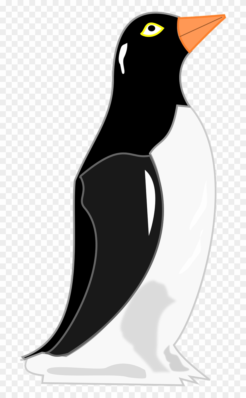 Penguin Pinguim De Geladeira Png Image - Pinguim Png Clipart #3406096