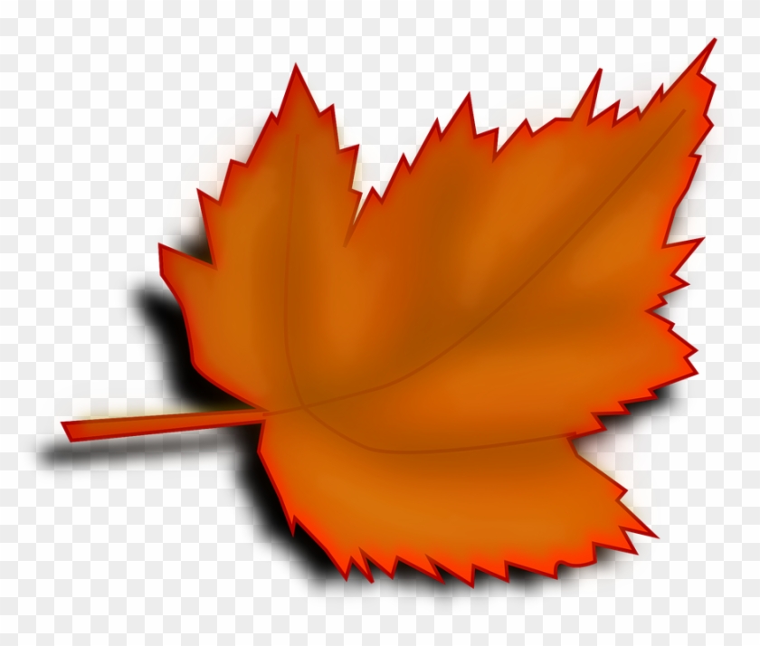 Leaf Clipart Transparent Background - Png Download
