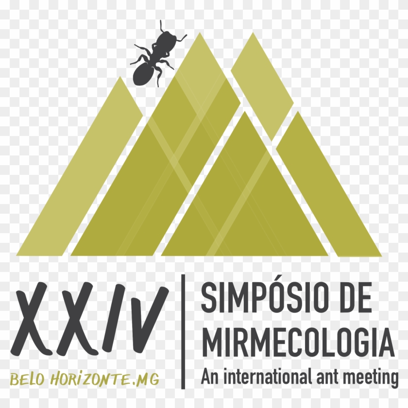 Imagem - Dental Implant Clipart #3406665