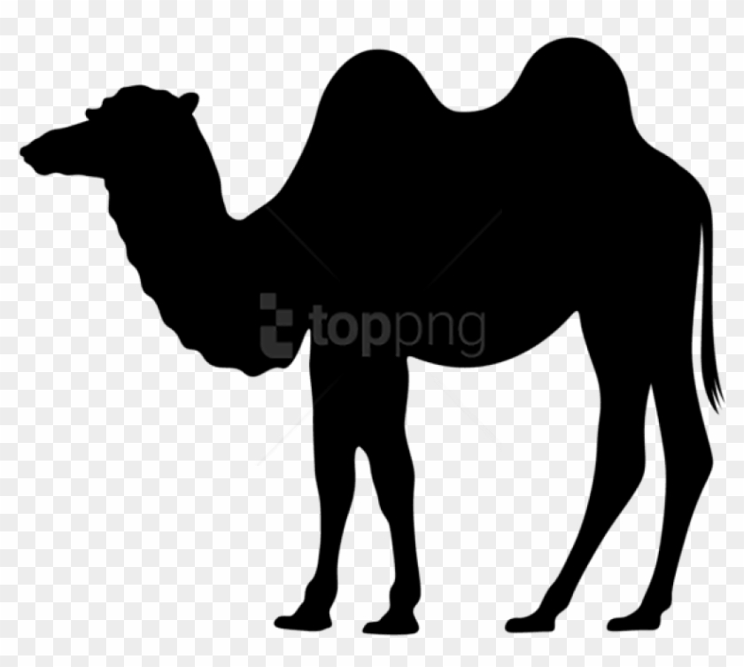 Free Png Camel Silhouette Png Png - Camel Silhouette Png Clipart #3407235