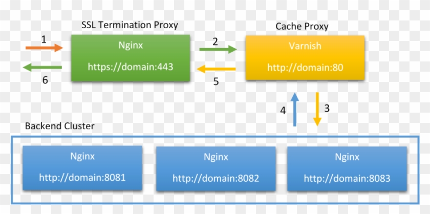 Ssl Termination Scheme - Varnish Nginx Clipart