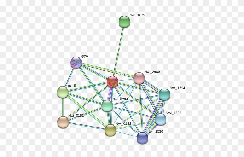 Circle Clipart #3408213