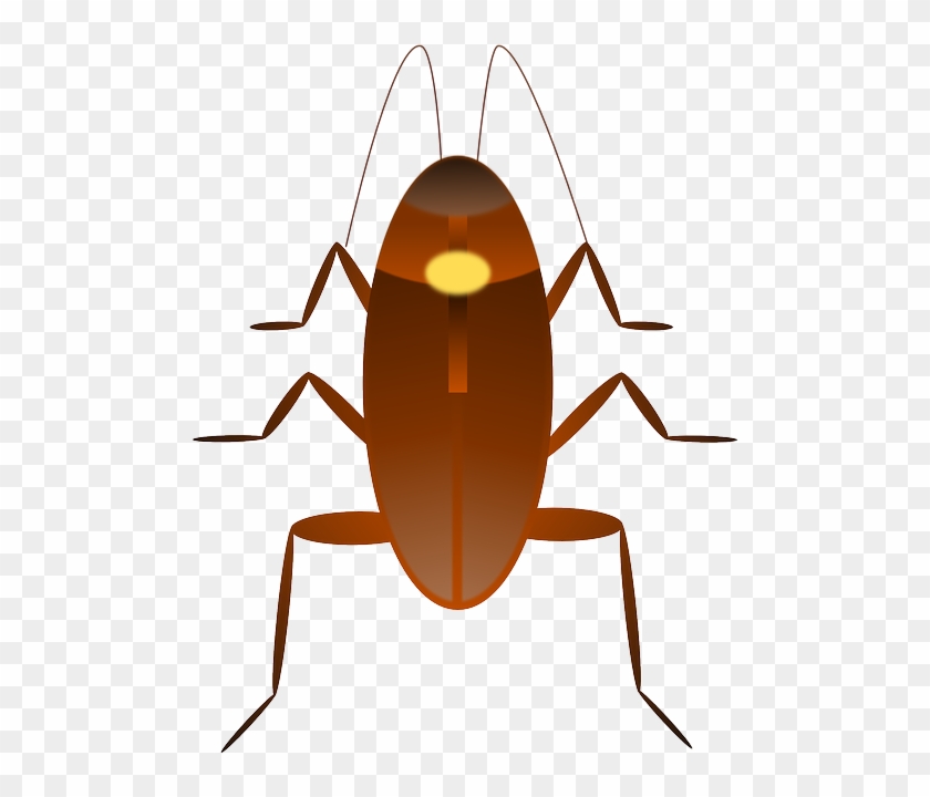 Bug Cockroach, Insect, Ugly, Bug - Cockroach Emoji Clipart #3409696
